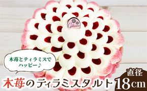【2026年1月～発送】【舌にあふれる季節感♪こだわりのサクサクタルト】木苺 の ティラミス タルト / タルト ティラミス いちご 18cm 南島原市 / アトリエジジ [SAA003]