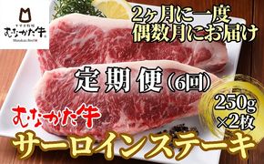 【偶数月にお届け】むなかた牛サーロインステーキ 500g（250g×2枚）定期便【すすき牧場】_HB0121