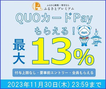 QUOカードPay最大13%キャンペーン【11月】