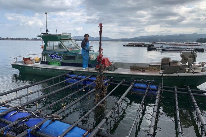 【先行予約】京都・京丹後産　鮮度抜群！濃厚肉厚岩牡蠣（生食用）約5kg（約10個）（殻付き・かんかん入り・冷蔵・ナイフ付き） AH00018