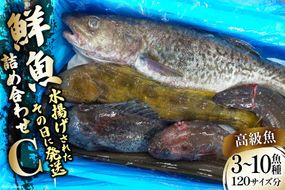 鮮魚 詰め合わせ C 3～10高級魚種 120サイズ分 [さんりくみらい 宮城県 気仙沼市 20563533] 産地直送 旬 魚介 魚 さかな 