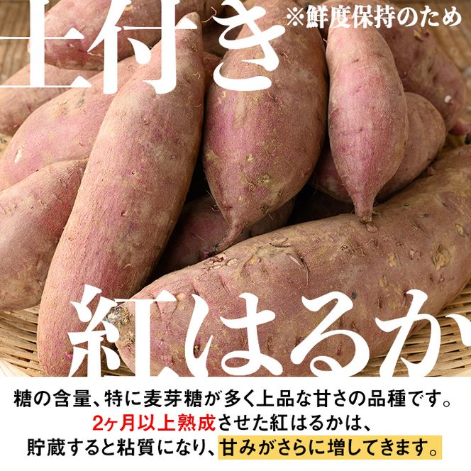 isa521 《訳あり》熟成紅はるか(約5kg・SS～LLサイズ混合) 【いさ工房】