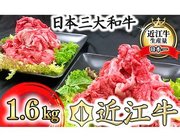 近江牛　切り落とし【1.6㎏（800ｇ×2パック）】【K036SM】