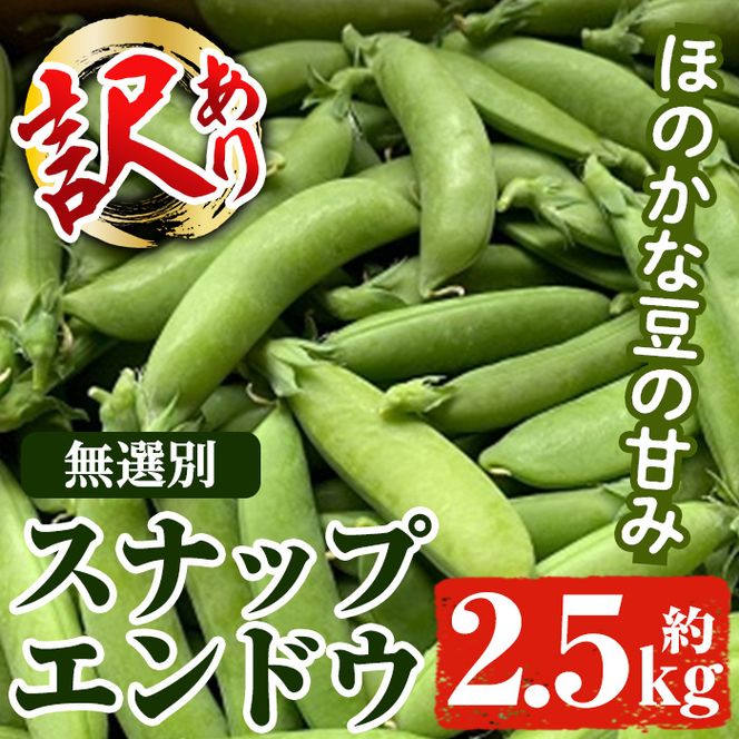 スナップエンドウ 1キロ訳あり - 野菜