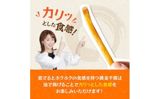 芋かりんとう90g×12袋 【 芋 さつまいも 宮崎県産 かりんとう お菓子 】[E11141]