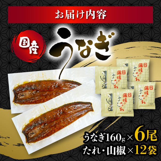 うなぎ 国産 蒲焼 160g × 6尾 計960g 鰻蒲焼 ウナギ 土用 丑の日  JAS認定 活鰻 自家製蒲焼のたれ 山椒 ギフト 贈答 冷凍 養殖 真空パック レンジ 調理 湯煎 まとめ買い 静岡県 藤枝 [PT0073-000004-X2]