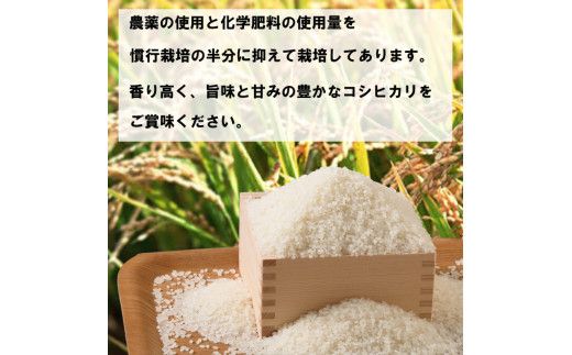 特別栽培米　出雲市産コシヒカリ　5ｋｇ×12回　定期便12ヵ月　お米【12-002】