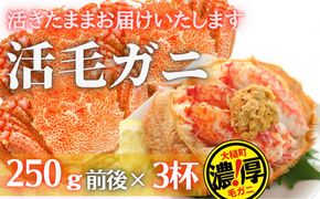 【期間限定3月～4月発送】三陸産三陸活毛ガニ250g×3杯(3尾)【0tsuchi00938】【05】