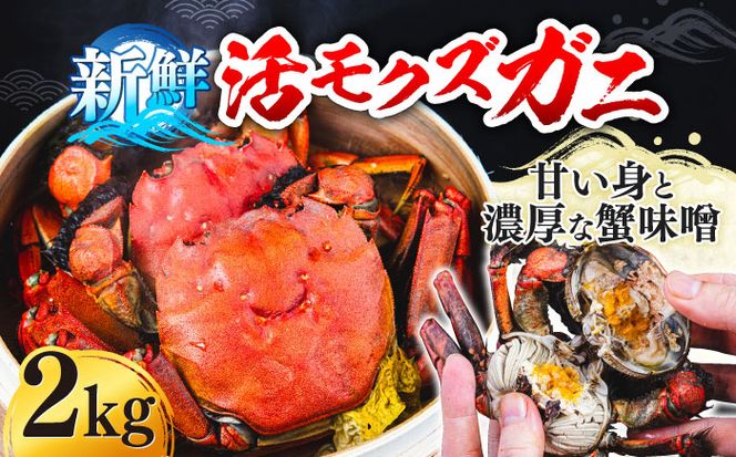 【先行予約】【2026年11月下旬以降順次発送】新鮮 活モクズガニ 2kg (10〜24杯前後) オス メス セット《築上町》【明青丸】 蟹 カニ カニ味噌[ABCB006]