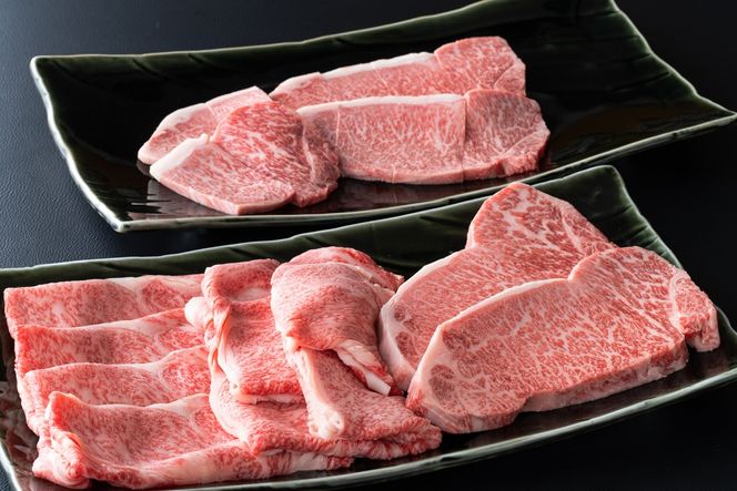 yꌧszyA-225zgX ߍ] [XÂZbg@3ށmIin