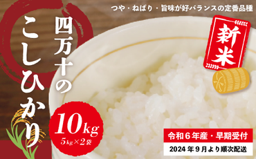 24-149．【令和6年産新米・早期受付】四万十のこしひかり10kg（5kg×2袋）【2024年9月より順次配送】