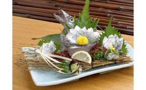 128 有田の名産☆太刀魚三昧☆ペア宿泊プラン(A128-2)