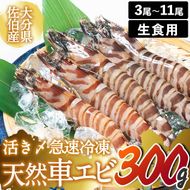  天然 活き〆車エビ 生食用 (計300g) エビ 海老 車海老 冷凍 刺身 さしみ 天ぷら 塩焼 バーベキュー 国産 大分県 大分県 佐伯市【DL18】【鶴見食賓館】