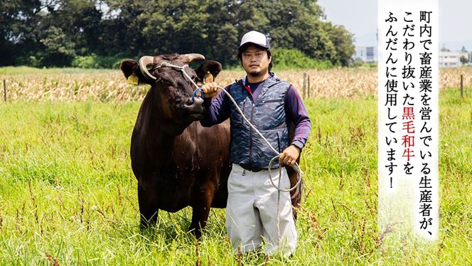 【八千代町産和牛と野菜使用】 【黒毛和牛ビーフカレー】 298（にくや） カレー （200g×10袋） レトルト ビーフ 和牛 ひとり暮らし インスタント お取り寄せ 惣菜 グルメ[CA003ya]