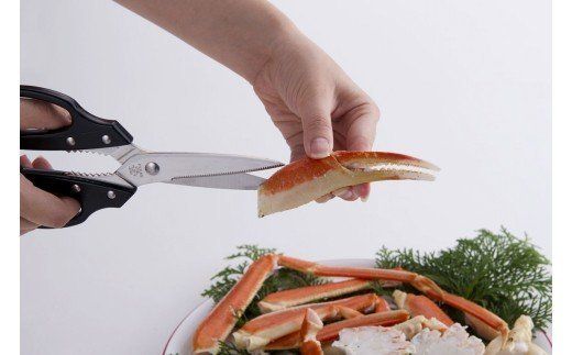 H7-22 キッチン鋏（ロングブレード）