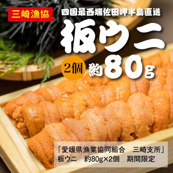 【数量限定】【10/15までの期間限定受付】三崎の赤ウニ（板ウニ）約80g×2 ※北海道・東北地方・沖縄・離島への配送不可 ※2024年8月上旬～10月下旬頃に順次発送予定