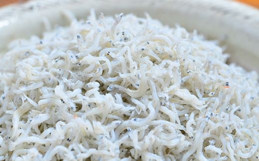 R6-002．【3回定期便】老舗海産物店の土佐黒潮ふんわりしらす650g【2カ月に1回お届け】（合計1.95kg）