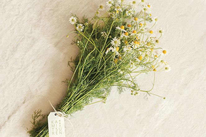 華密恋 国産 カモミールの薬用入浴剤 400mLと50mL×1包［9日分］ [カミツレ研究所 長野県 池田町 48110775]