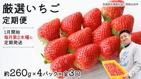 【 先行予約 】 【 定期コース 】 厳選 いちご 4パック 【 毎月 第2木曜に全3回発送 初回発送 2025年1月16日 】 ( 茨城県共通返礼品 : 常陸太田市 ) 約260g×4パック いばらキッス ひたち姫 やよいひめ から 厳選して お届け 定期便 いちご 数量限定 果物 くだもの フルーツ 苺 イチゴ 数量限定 [ES007us]