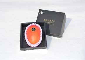 3767.極寒完熟マンゴー『摩周湖の夕日』３Ｌサイズ×１玉
