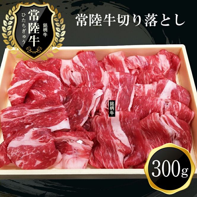 y錧sz169-17-003@B-1@sY@헤؂藎Ƃ(300g)