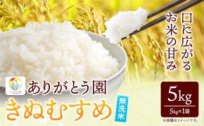  令和6年産 米 岡山県産 きぬむすめ 無洗米 5kg ありがとう園《30日以内に出荷予定(土日祝除く)》岡山県 矢掛町 無洗米 米 コメ 一等米---osy_agekmm_30d_23_11500_5kg---