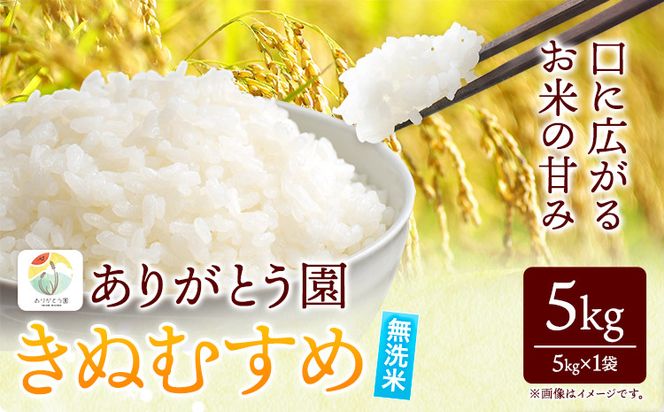  令和6年産 米 岡山県産 きぬむすめ 無洗米 5kg ありがとう園《30日以内に出荷予定(土日祝除く)》岡山県 矢掛町 無洗米 米 コメ 一等米---osy_agekmm_30d_23_11500_5kg---