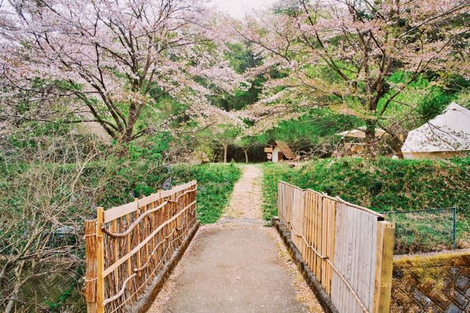 ～ソロキャンパーにおすすめ～キャンプ場1名様一泊券 [Ogawa Plum Garden for campers 埼玉県 小川町 140] キャンプ ソロキャンプ ソロキャン 1名 グランピング 1泊 宿泊券 旅行 チケット