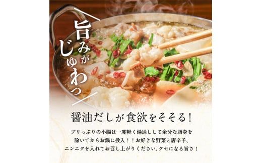 鹿児島県産黒毛和牛もつ鍋セット　K328-011