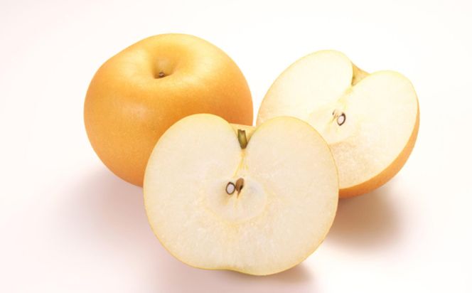 【産直】和歌山有田産の梨約2kg（品種おまかせ）★2026年8月上旬頃より順次発送  	BZ119