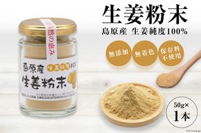 AF036島原産 生姜純度100% 生姜粉末 1本 【無添加 無着色 保存料不使用】
