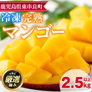 【32845】＜数量限定＞鹿児島県産！南国の恵み！まるごと冷凍完熟マンゴー(約2.5kg・5-7個)果物 フルーツ 果実 冷凍 デザート 国産【甘宮】