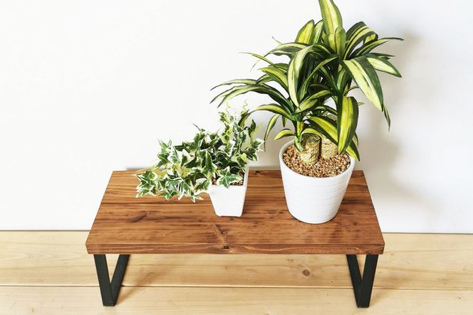 無垢材とアイアンのシェルフ ブラウン Mサイズ 47cm リビング 玄関 植物 完成品 [新星金属製作所 大阪府 守口市 20940893] 