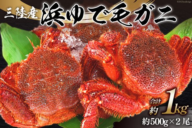 先行予約＞かに 三陸産浜ゆで毛ガニ 約500g×2 計1kg [村東商店 宮城県