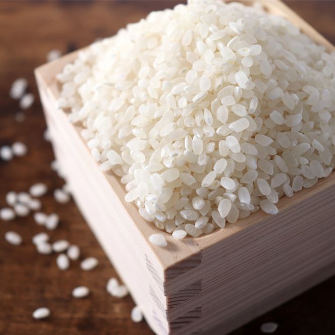 AO-1 ほたるの集う田んぼの米 こしひかり 約5kg
