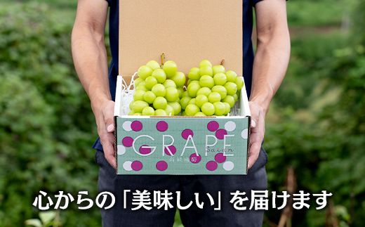 さぶ！シャインマスカット 1.2キロ さぶ！シャインマスカット 1.2キロ 楽天市場】【ふるさと納税