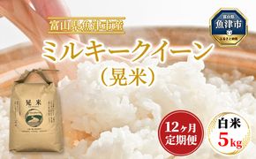 【12ヶ月定期便】【令和6年度米】「魚津のミルキークイーン（晃米）」5kg（白米） ｜ 環境配慮 MK農産 お米 ブランド米 銘柄米 精米 ご飯 おにぎり 産地直送 甘み 粘り もちもち ※2024年10月下旬頃より順次発送予定 ※北海道・沖縄・離島への配送不可