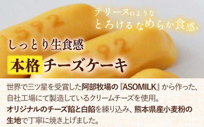 濃厚生チーズケーキ 1592 ヒゴクニ 24個入り 古今堂 《30日以内に出荷予定(土日祝除く)》 熊本県 南阿蘇村 チーズケーキ チーズ ひごくに お菓子 スイーツ---sms_kkinczk_30d_r7_17000_24i---