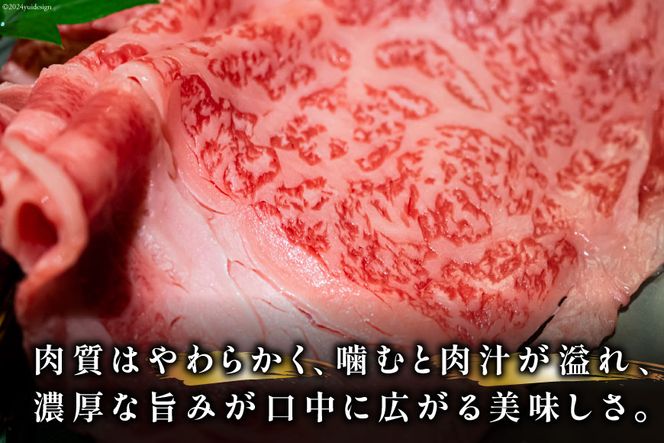 牛肉 【A4～A5】 博多和牛 サーロイン しゃぶしゃぶすき焼き用 300g×2p 計 600g [MEAT PLUS 福岡県 筑紫野市 21760755] 肉 和牛 牛 博多 A5 すき焼き サーロイン