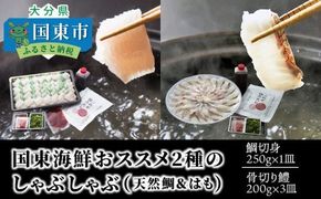 国東海鮮おススメ2種のしゃぶしゃぶ「天然鯛＆はも」_29011B