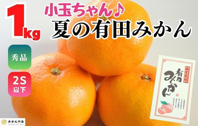 【5月出荷予定】小玉ちゃん ハウスみかん 温室栽培 夏の有田みかん 1kg 秀品 2Sサイズ以下 和歌山県 産地直送 みかんの会 AX274