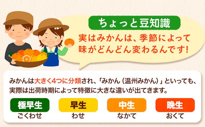 【訳あり/サイズ不選別】 和歌山みかん 約5kg 和歌山県産 《11月中旬から1月中旬に出荷予定（土日祝除く）》たっぷり ご家庭用 2L～2S 産地直送 みかん 旬 蜜柑 ミカン 柑橘 果物 フルーツ 和歌山県 紀の川市---wfn_wlocal89_11c1c_25_7000_5kg--