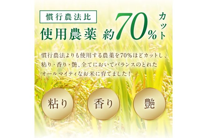 京丹後米　特別栽培米コシヒカリ 3kg　令和5年　注文後精米　野木源 NO00012