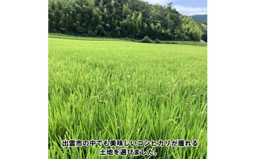 特別栽培米　出雲市産コシヒカリ　10 ｋｇ×12回　　定期便 12ヵ月　お米　【24-001】