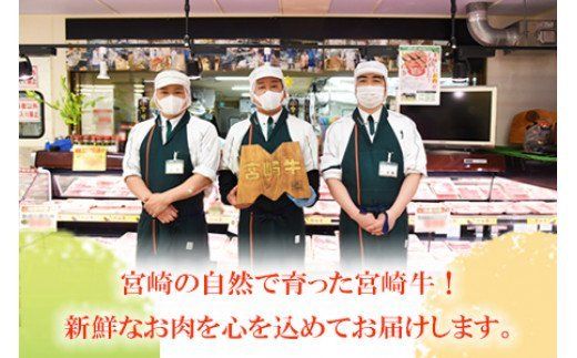 ＜宮崎牛バラスライス約600g＞翌月末迄に順次出荷【a0144_sb】