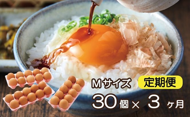 yɌs쒬z022AB01N.^Y~̗lTCYi30×3j