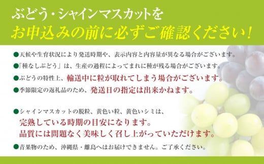 【2025年発送分 先行予約】シャインマスカット 1.0~1.2ｋｇ （２房） シャイン マスカット フルーツ 山梨県産 果物 くだもの ぶどう ブドウ 葡萄 種なし 種なし 産地直送 先行予約 富士川町