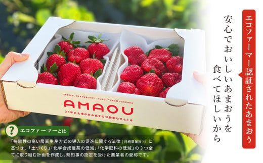 【2025年3月発送】エコファーマー あまおう 約280g×2パック 計560g【数量限定】 いちご 苺 イチゴ ベリー 果物 フルーツ お取り寄せ デザート おやつ