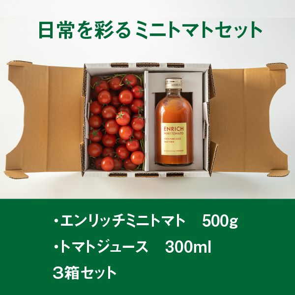 【先行予約】エンリッチミニトマトセット3箱セット【070002】