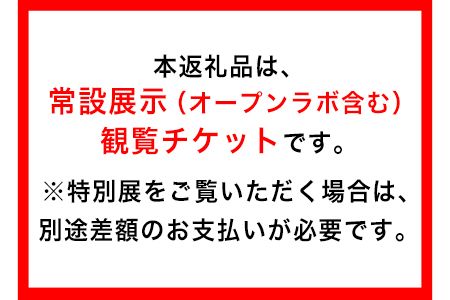 熊本県御船町 御船町恐竜博物館観覧チケット（大人3名様） 御船町恐竜博物館《30日以内に出荷予定(土日祝除く)》---sm_kyoryuticket_30d_24_7500_a3---